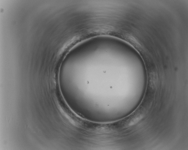 X0000063520634200601271837