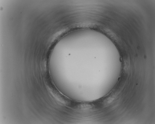 X0000063520636200601271837