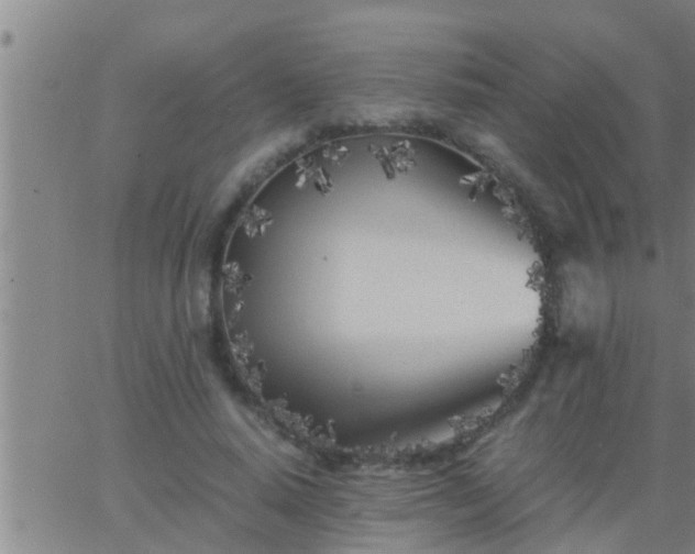 X0000063520640200601271837