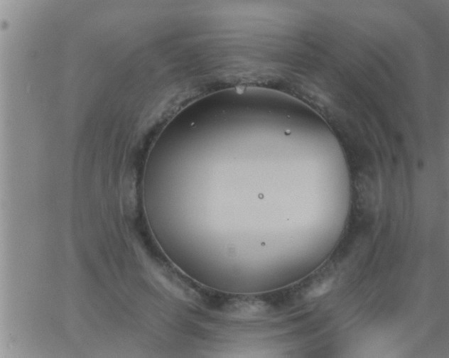 X0000063520642200601271837