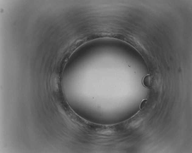 X0000063520643200601271837