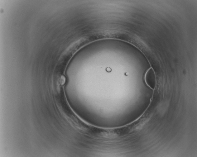 X0000063520644200601271837