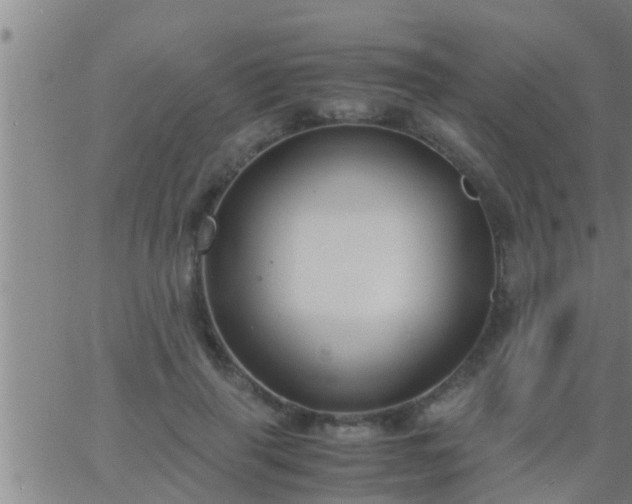 X0000063520645200601271837