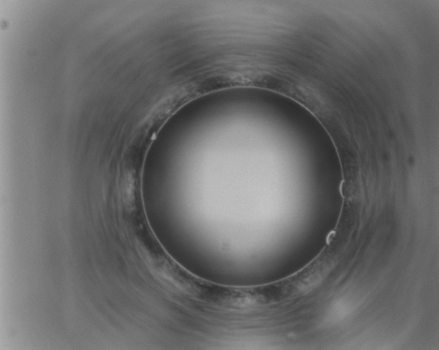 X0000063520646200601271837