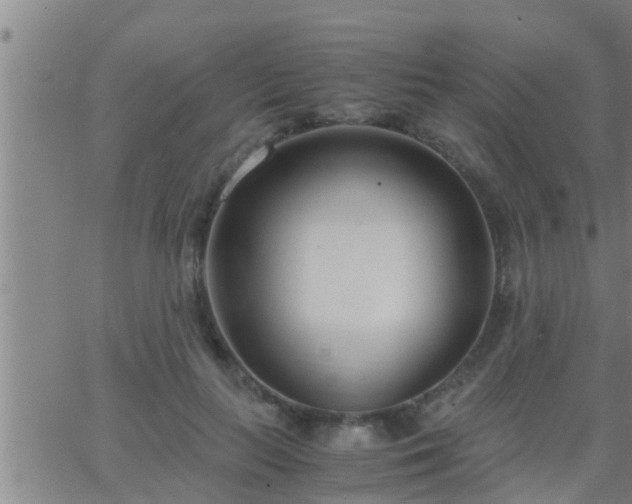 X0000063520647200601271837