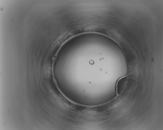 X0000063520648200601271837