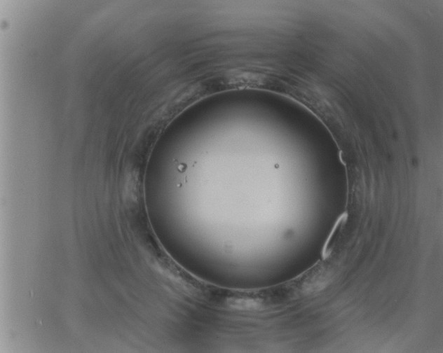 X0000063520649200601271837