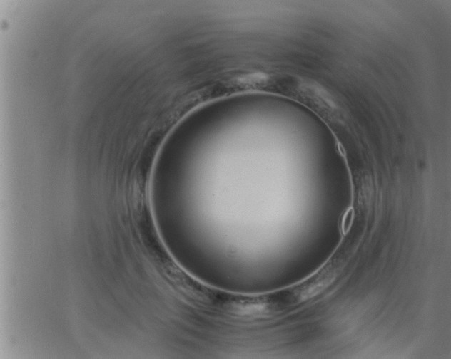 X0000063520651200601271837