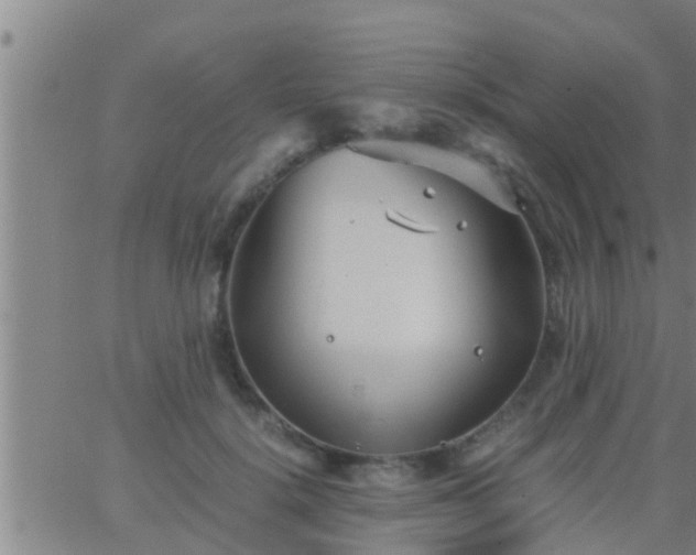 X0000063520652200601271837