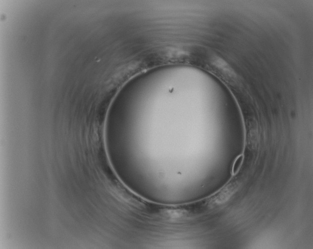 X0000063520654200601271837