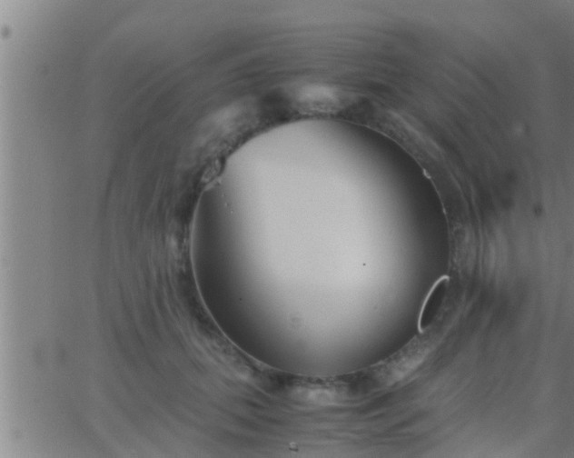 X0000063520655200601271837