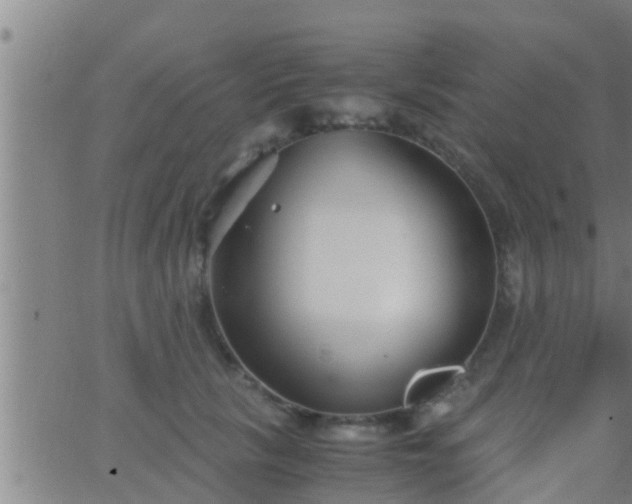 X0000063520657200601271837