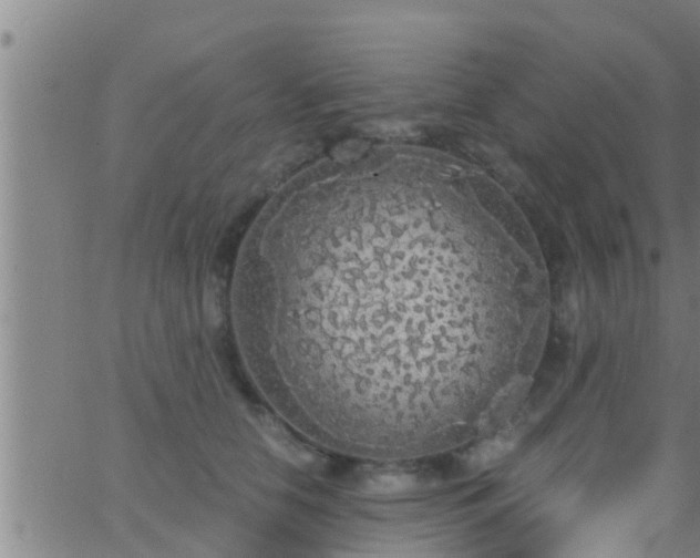 X0000063520658200601271837