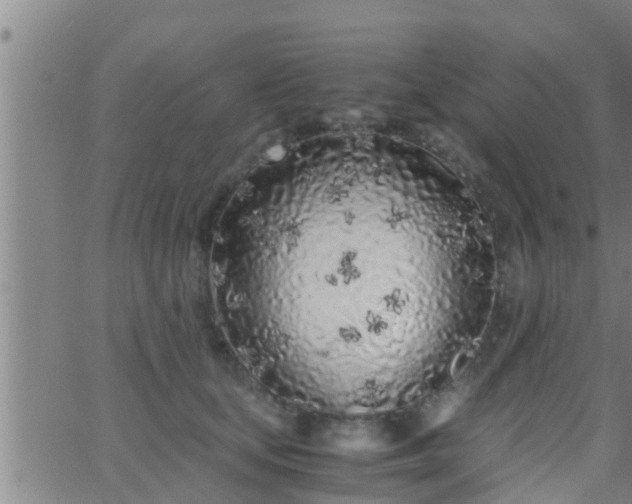 X0000063520659200601271837