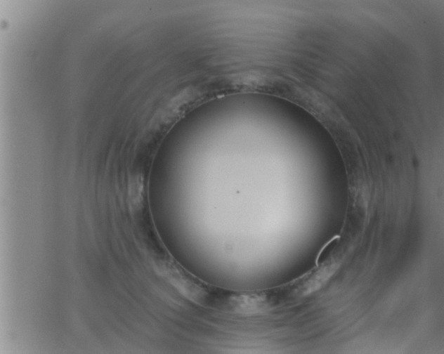 X0000063520660200601271837