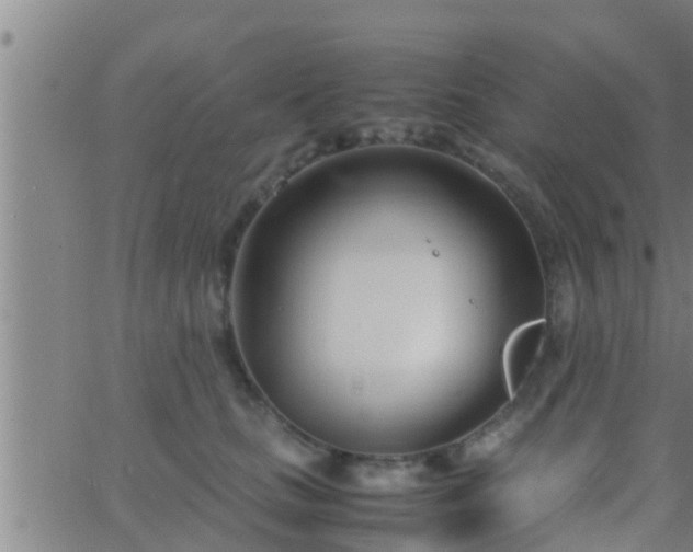 X0000063520661200601271837