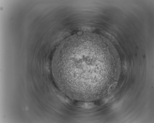 X0000063520663200601271837