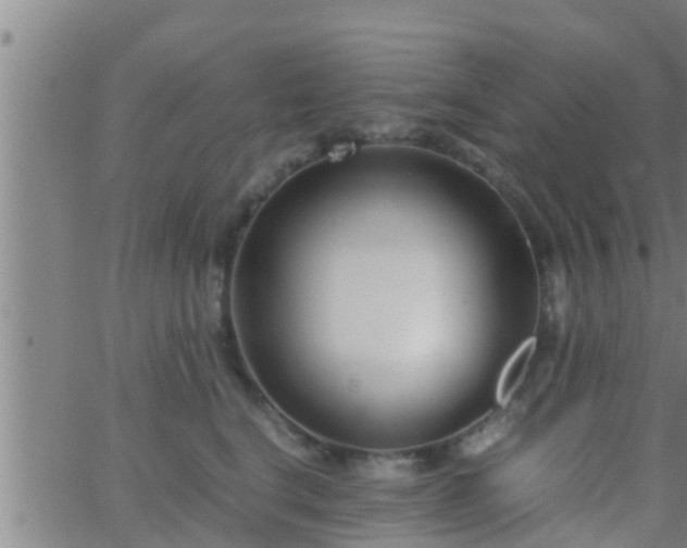 X0000063520664200601271837