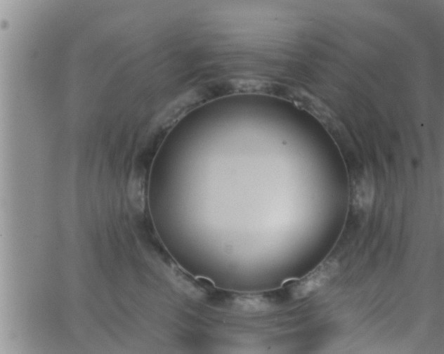 X0000063520666200601271837