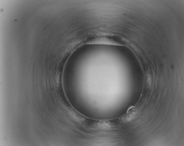 X0000063520668200601271837