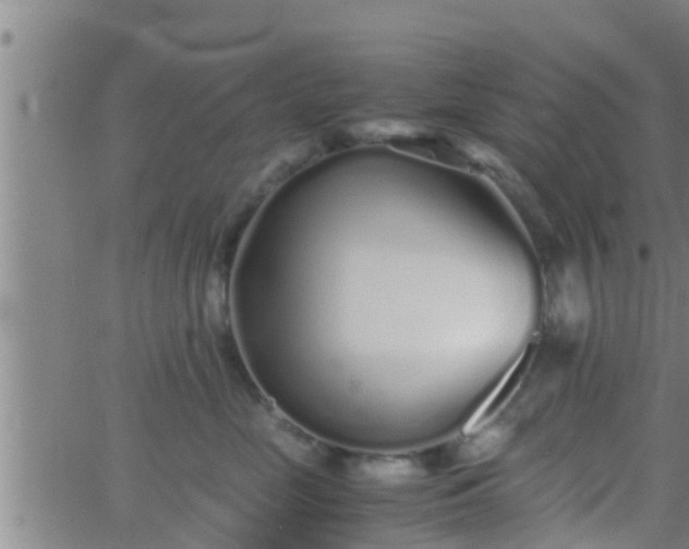 X0000063520669200601271837