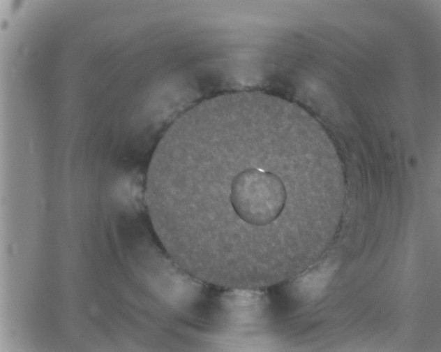 X0000063520672200601271837