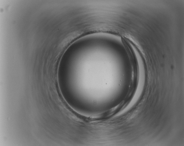 X0000063520673200601271836