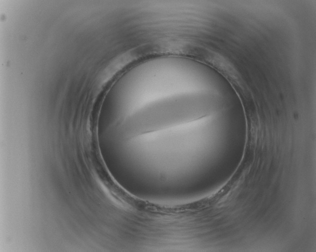 X0000063520674200601271836