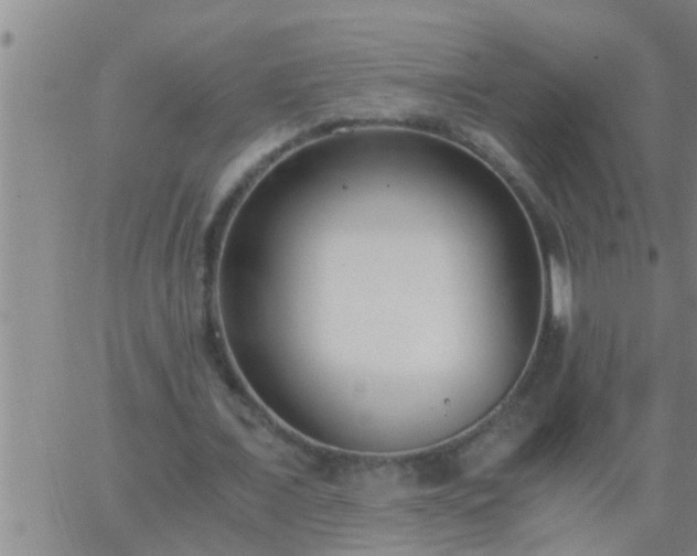 X0000063520675200601271836