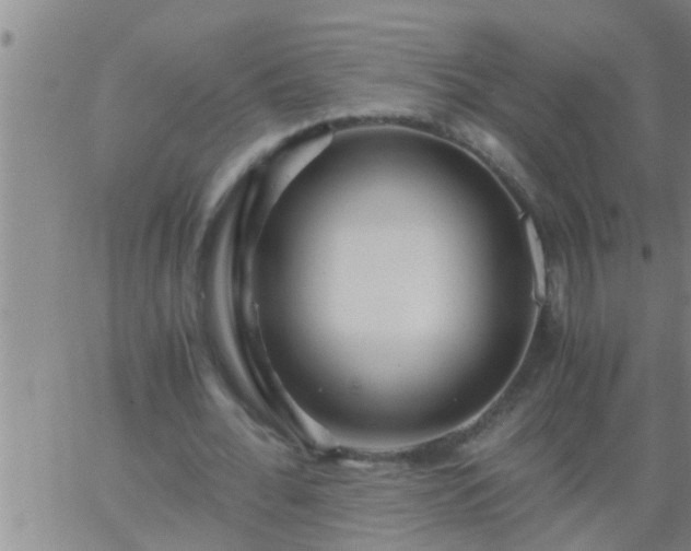 X0000063520676200601271836