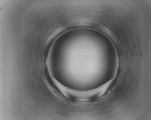 X0000063520677200601271836