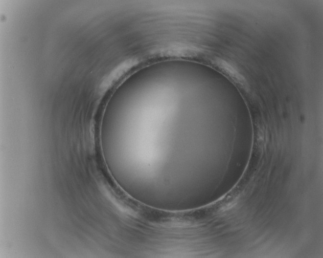 X0000063520678200601271836