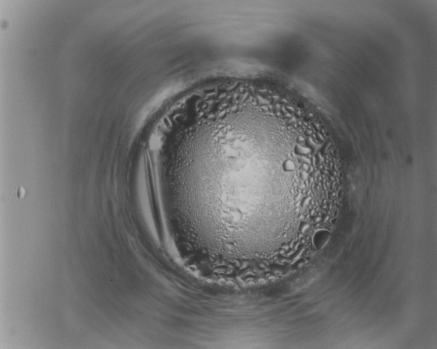 X0000063520679200601271836