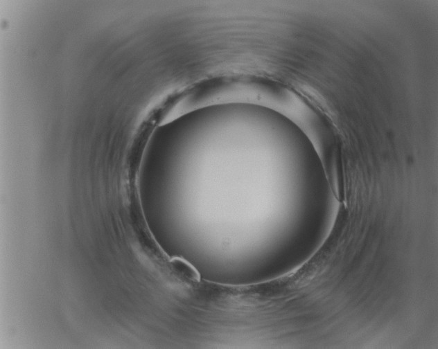 X0000063520680200601271836