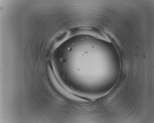 X0000063520681200601271836