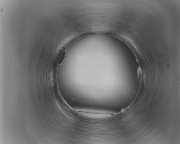 X0000063520684200601271836