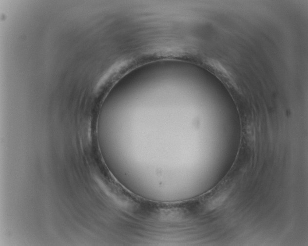 X0000063520686200601271836