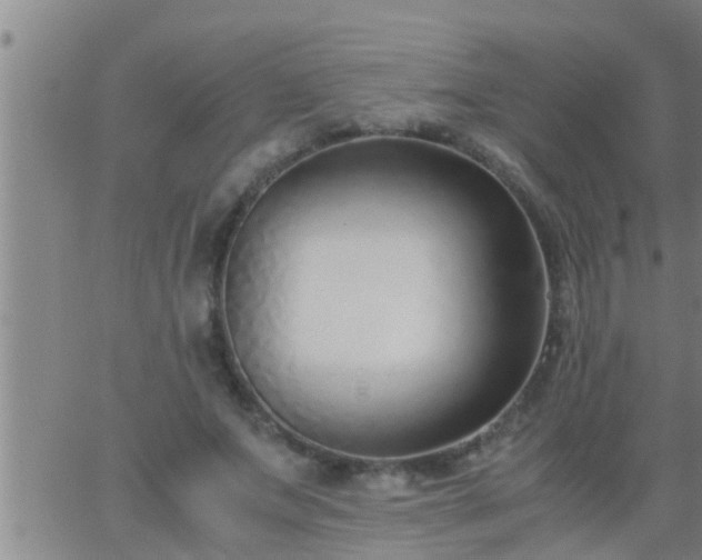 X0000063520687200601271836