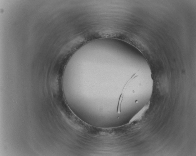 X0000063520690200601271836