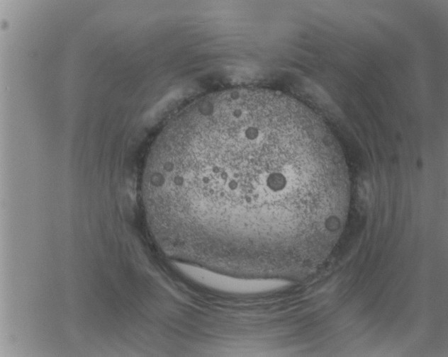 X0000063520691200601271836