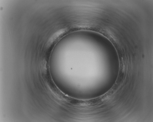 X0000063520692200601271836