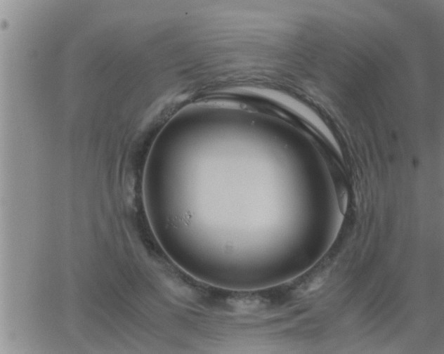 X0000063520693200601271836