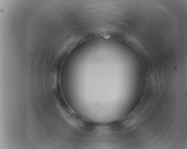 X0000063520694200601271836