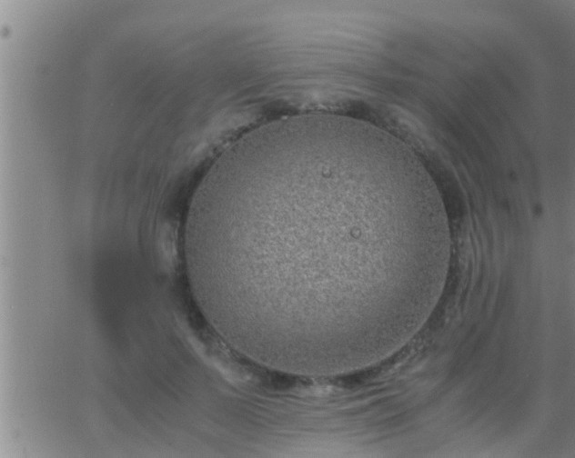 X0000063520695200601271836