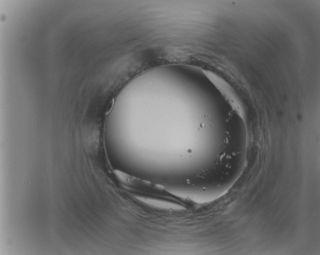 X0000063520697200601271836