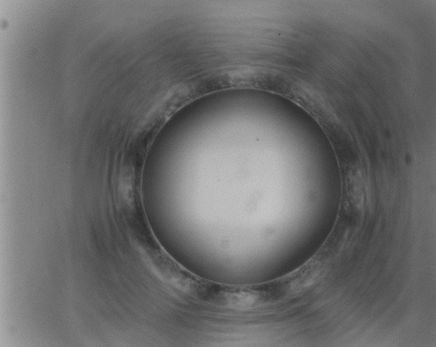 X0000063520698200601271836