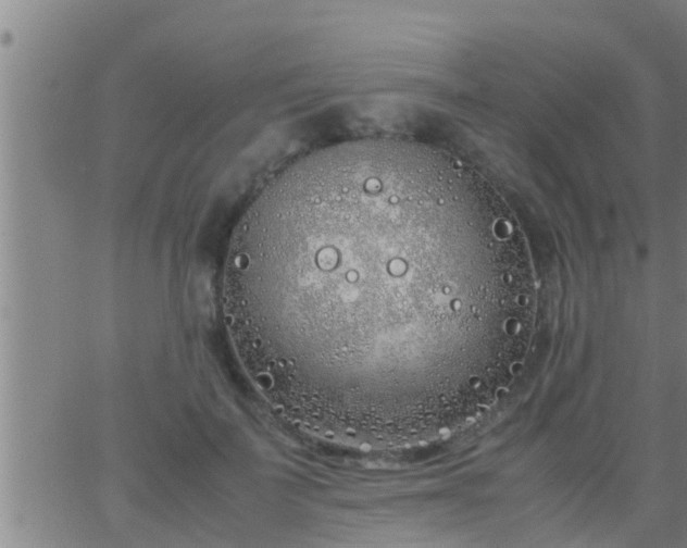 X0000063520699200601271836