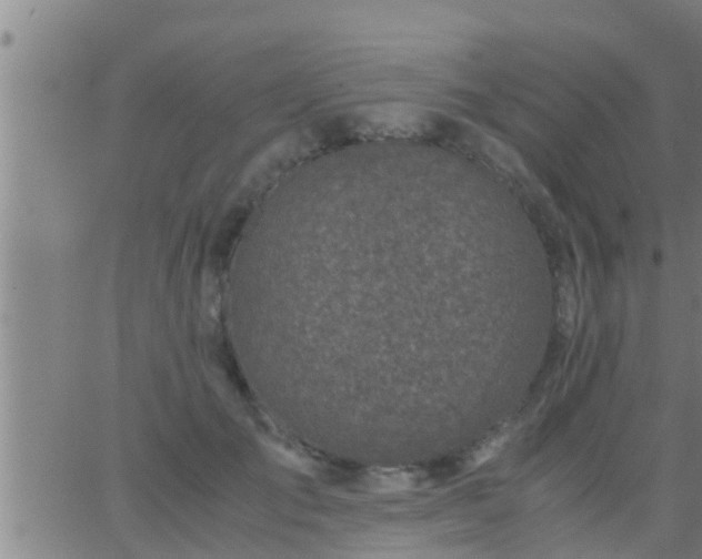 X0000063520701200601271836