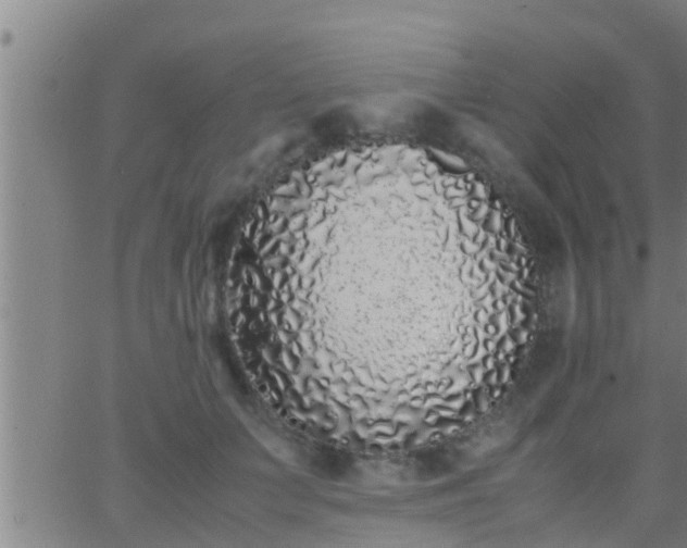 X0000063520703200601271836