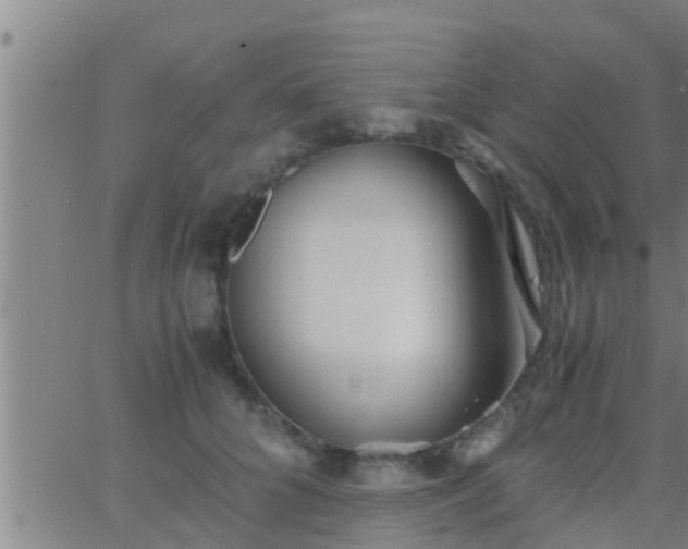 X0000063520704200601271836